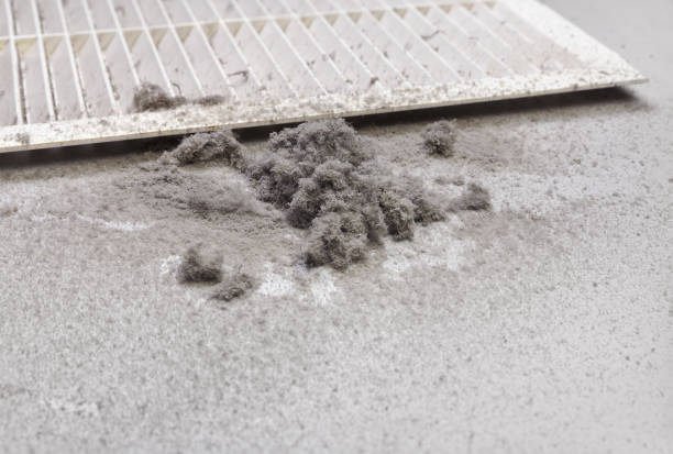 Best Affordable Duct Cleaning Services  in Fortuna Foothills, AZ